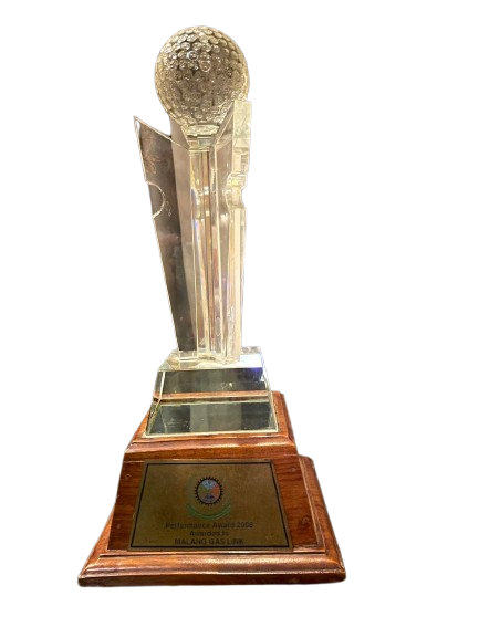 About performace award 2008 mgl